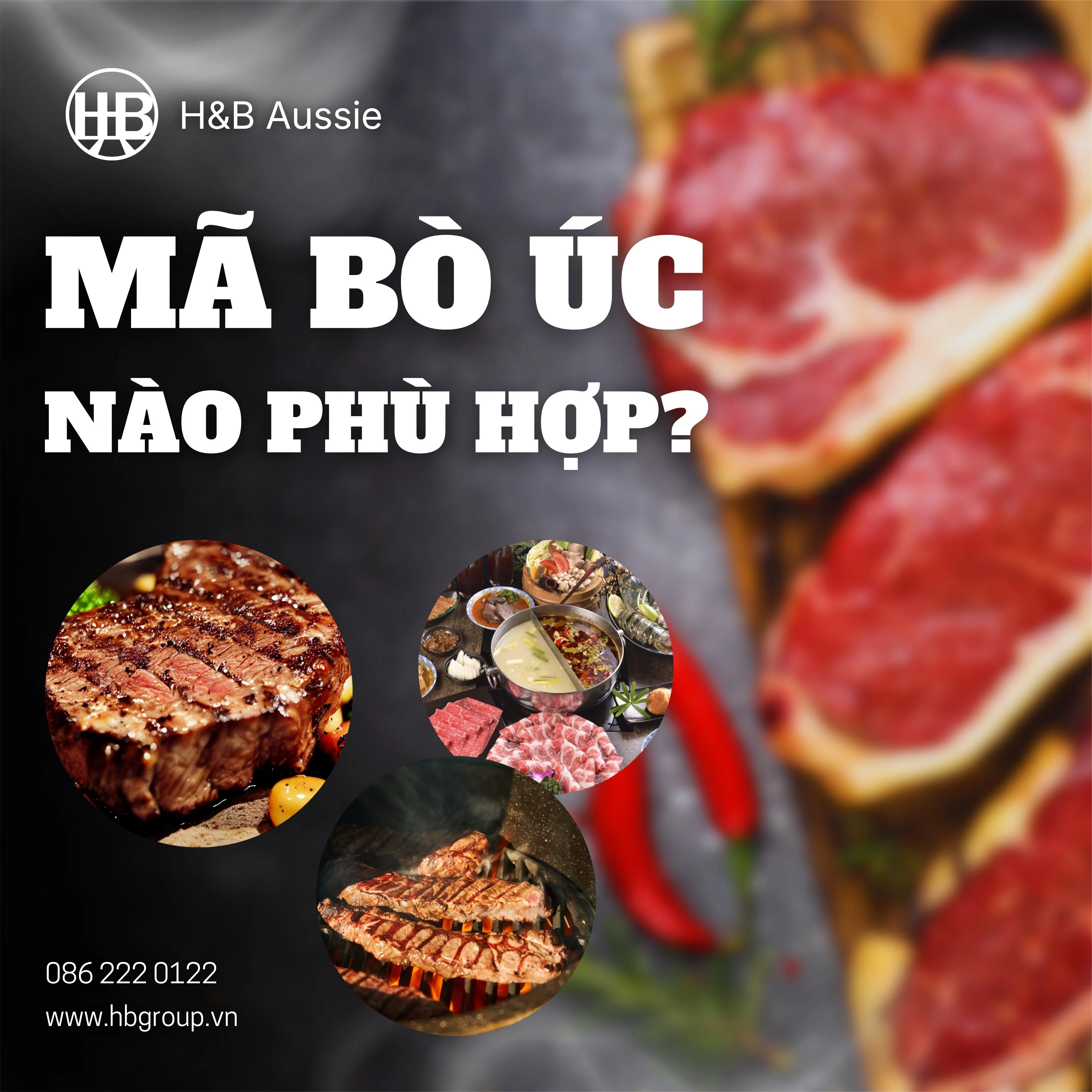 TẠI SAO CÁC CHUỖI STEAK - BBQ - LẨU ƯU TIÊN 5 MÃ BÒ ÚC NÀY? 